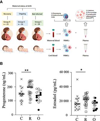 Plasticity of natural killer cells in pregnant patients infected with SARS-CoV-2 and their neonates during childbirth